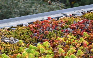 the cost of Mount Ephraim green roof installation